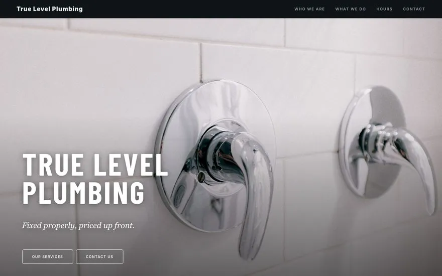 True Level Plumbing — live sample site preview