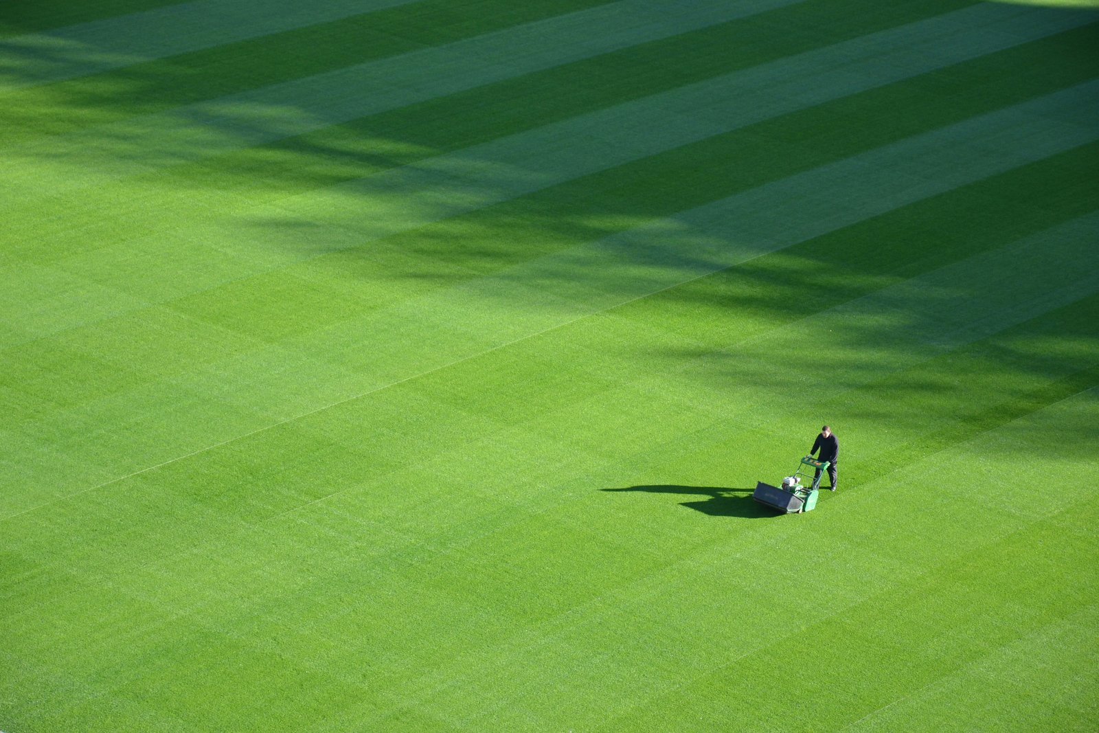 Lawn Care