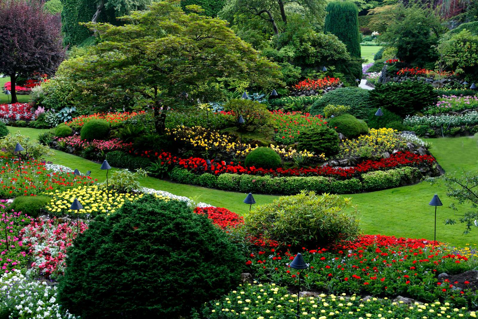 Landscaping