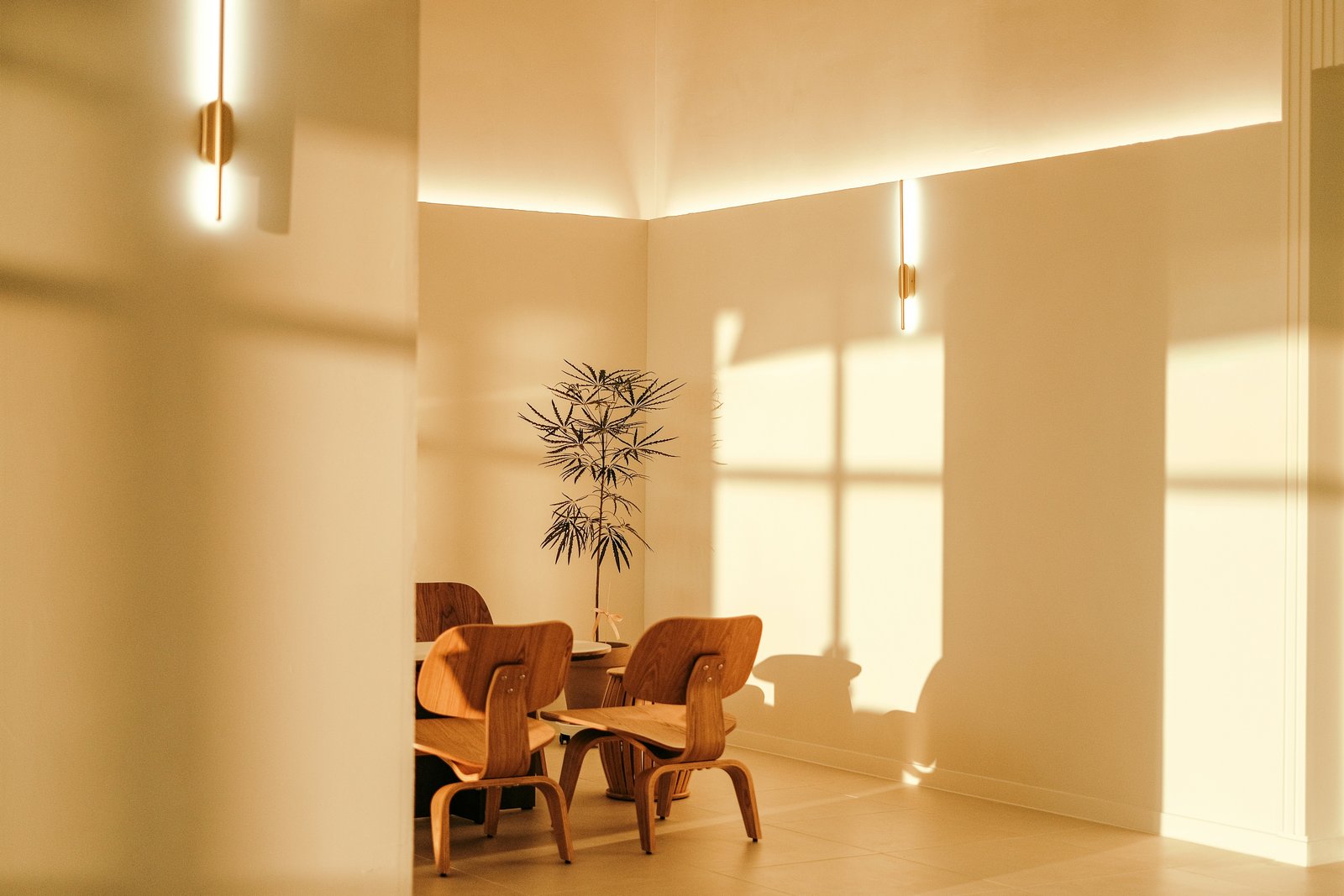 Lanternview Veterinary Clinic