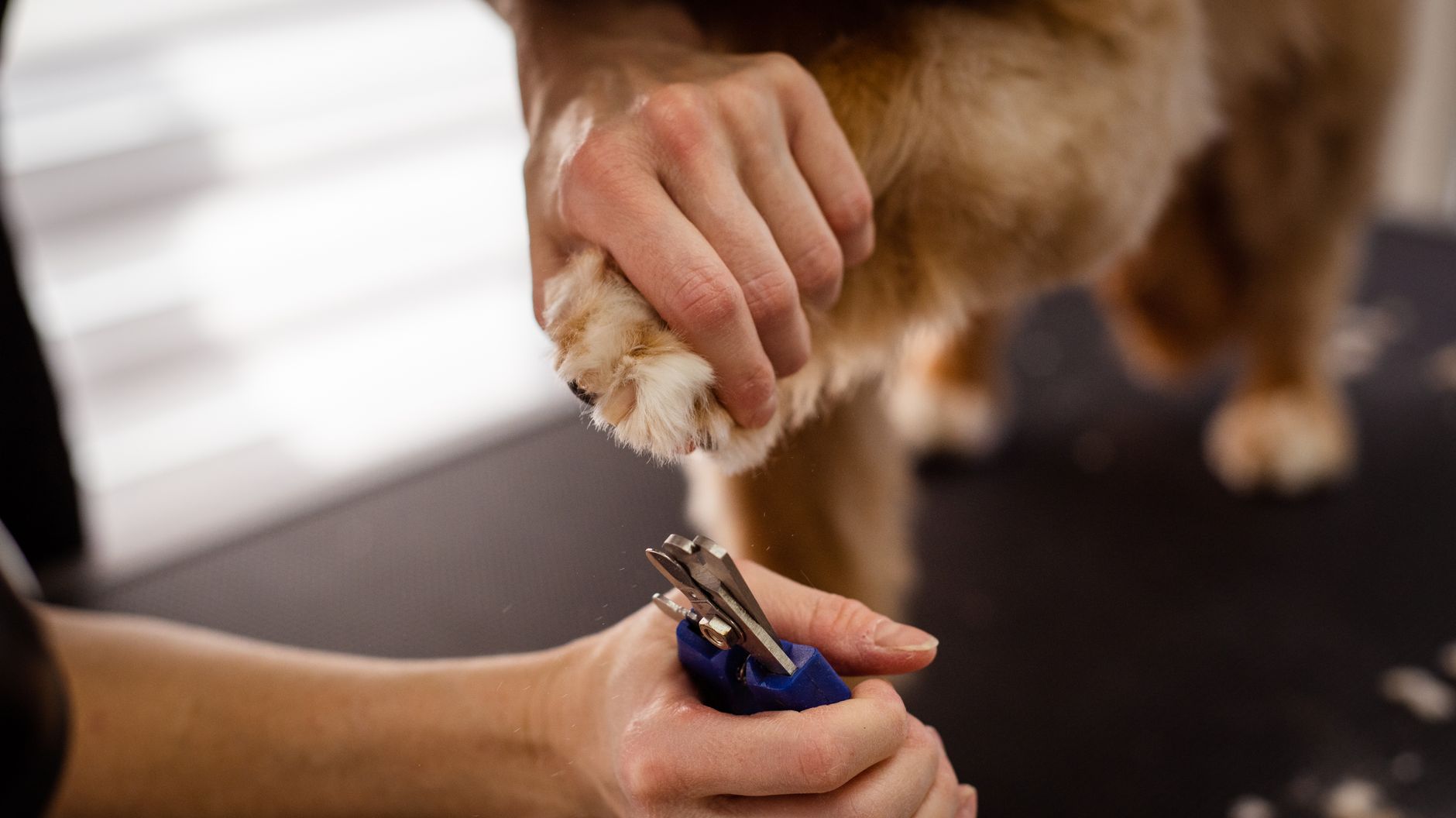 Nail Trims